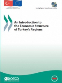 An Introduction to the Economic Structure of Turkey's Regions 