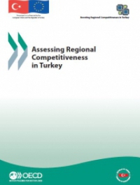 Assessing Regional Competitiveness in Turkey 