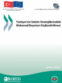 Türkiye’nin Sektör Stratejilerindeki Mekansal Boyutun Güçlendirilmesi 