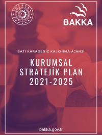 Kurumsal Stratejik Plan 2021-2025 