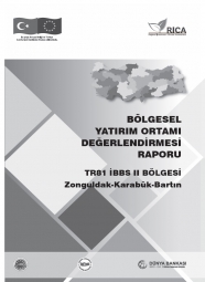 BÖLGESEL YATIRIM ORTAMI DEĞERLENDİRMESİ RAPORU  