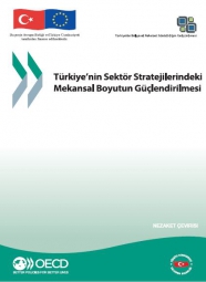 Türkiye’nin Sektör Stratejilerindeki Mekansal Boyutun Güçlendirilmesi 