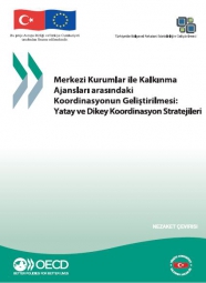 Merkezi Kurumlar ile Kalkınma Ajansları arasındaki Koordinasyonun Geliştirilmesi Yatay ve Dikey Koordinasyon Stratejileri 