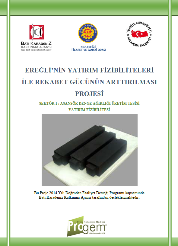 Ereğli'nin Yatırım Fizibiliteleri ile Rekabet Gücünün Arttırılması Projesi 