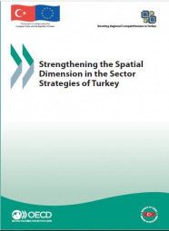 Strengthening the Spatial Dimension in the Sector Strategies of Turkey 