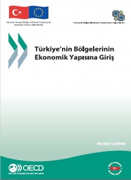 Türkiye’nin Bölgelerinin Ekonomik Yapısına Giriş 