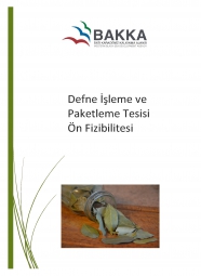 Defne İşleme ve Paketleme Tesisi Ön Fizibilitesi 