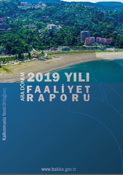 2019 Yılı Ara Dönem Faaliyet Raporu 