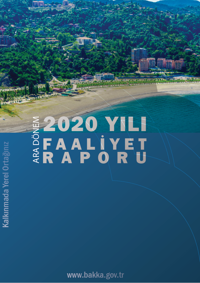 2020 Yılı Ara Dönem Faaliyet Raporu 