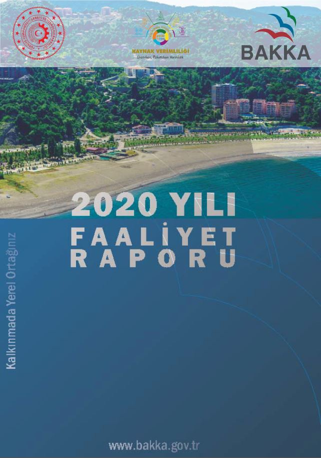 2020 Yılı Faaliyet Raporu 