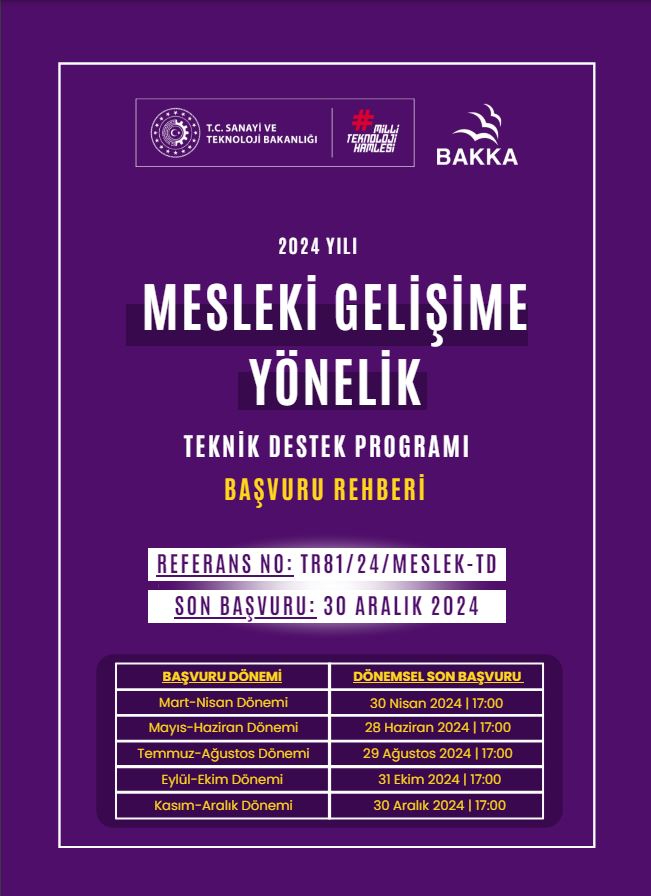 2024 Yılı Mesleki Gelişime Yönelik Teknik Destek Programı Başvuru Rehberi