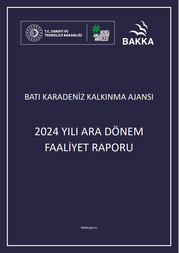 2024 Yılı Ara Dönem Faaliyet Raporu