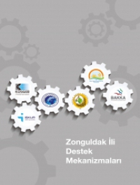 Zonguldak İli Destek Mekanizmaları 