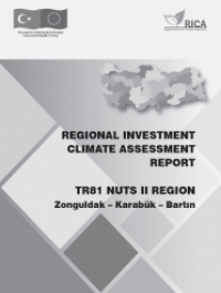 REGIONAL INVESTMENT CLIMATE ASSESSMENT REPORT 