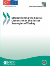 Strengthening the Spatial Dimension in the Sector Strategies of Turkey 