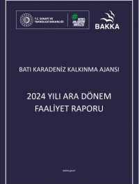 2024 Yılı Ara Dönem Faaliyet Raporu