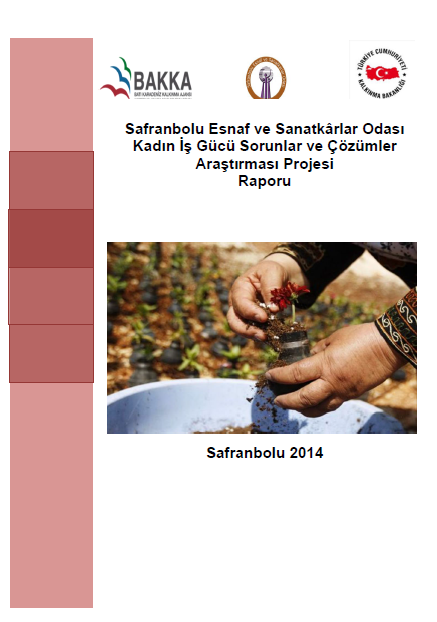 Safranbolu Esnaf ve Sanatkârlar Odası Kadın İş Gücü Sorunlar ve Çözümler Araştırması Projesi Raporu