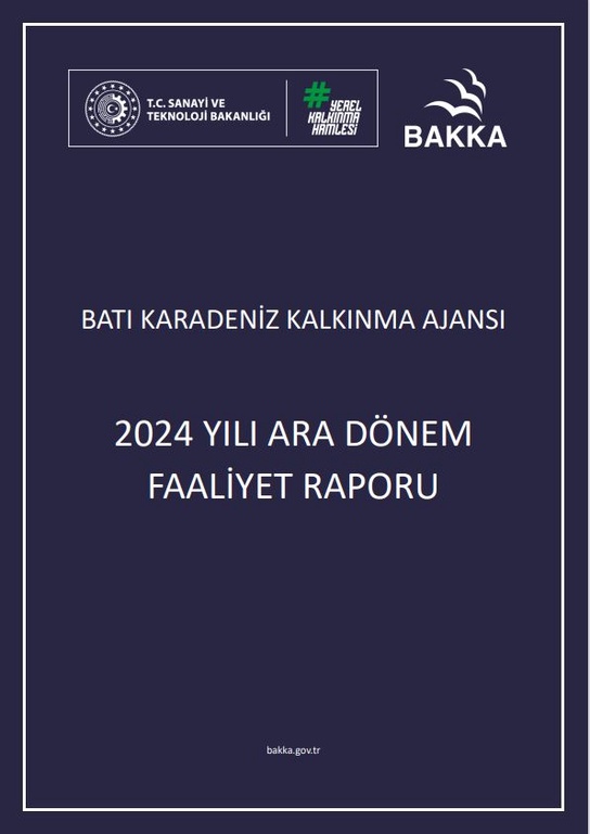 2024 Yılı Ara Dönem Faaliyet Raporu