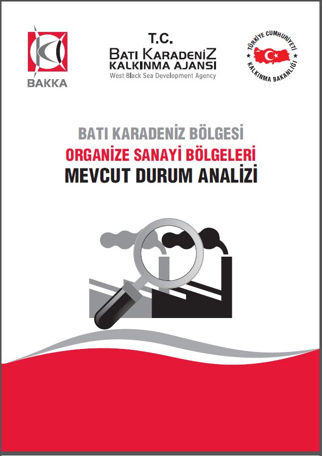 Organize Sanayi Bölgeleri (OSB) Mevcut Durum Analizi