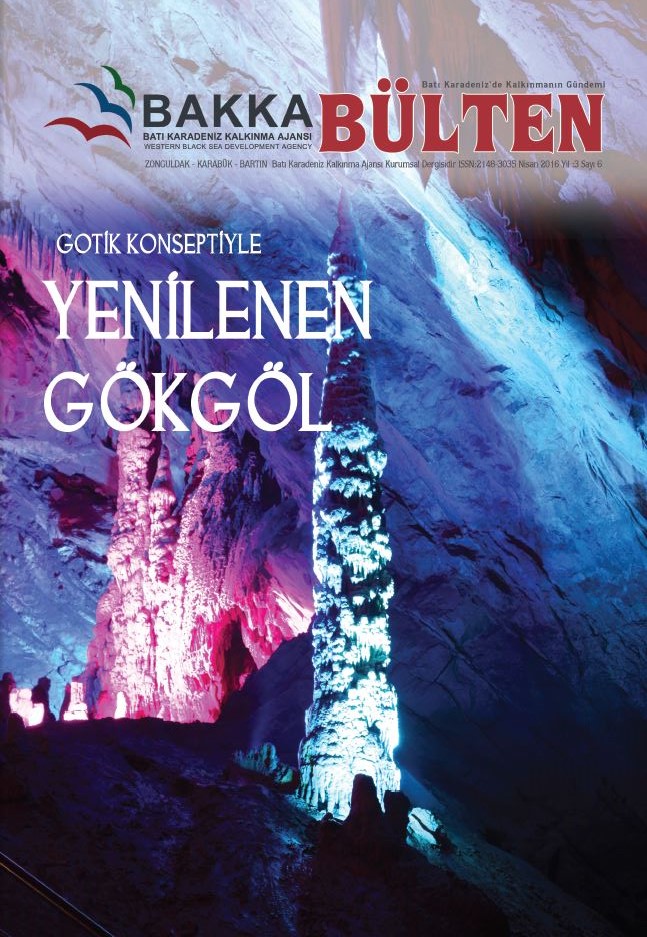 BAKKA Bülten 6. Sayı