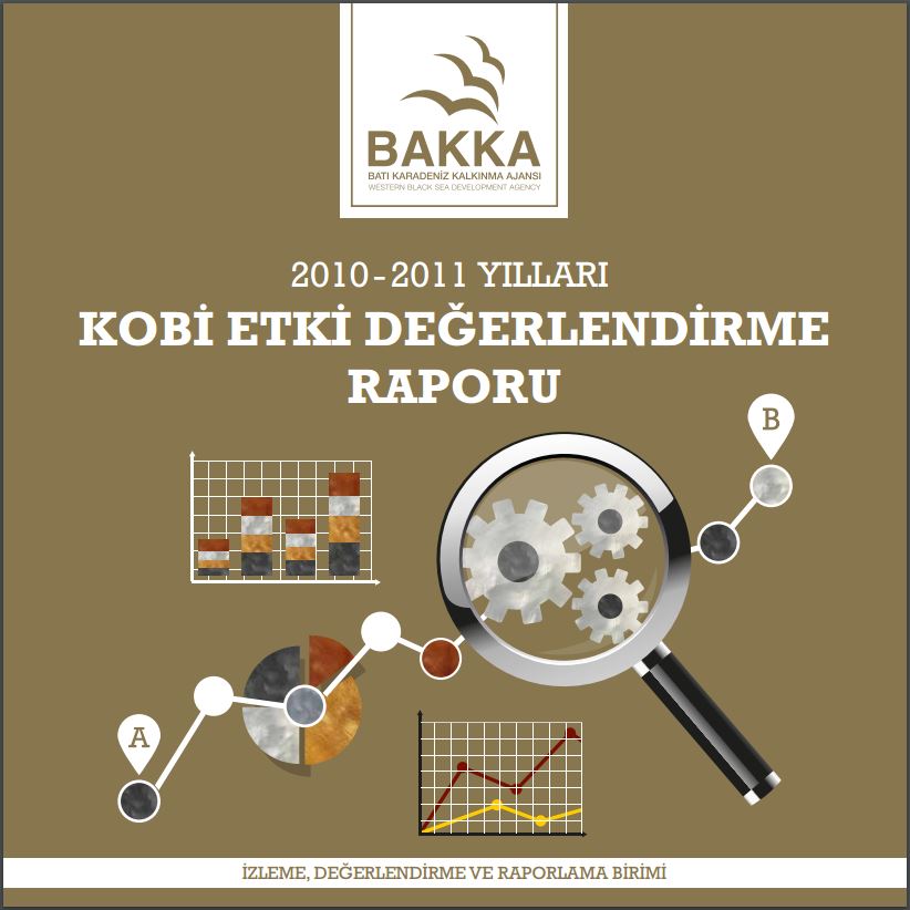 2010-2011 Yılları KOBİ Etki Değerlendirme Raporu