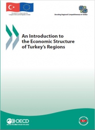 An Introduction to the Economic Structure of Turkey's Regions