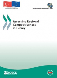 Assessing Regional Competitiveness in Turkey
