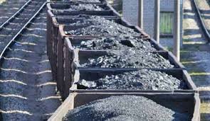 Taş Kömürü Raporu