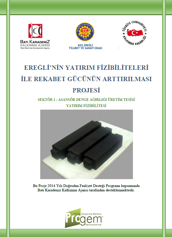 Ereğli'nin Yatırım Fizibiliteleri ile Rekabet Gücünün Arttırılması Projesi