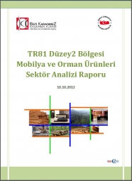 Mobilya ve Orman Ürünleri Sektör Analizi Raporu