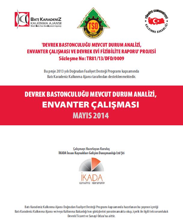 Devrek Bastonculuğu Mevcut Durum Analizi, Envanter Çalışması