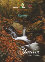 Yenice Gezi Rehberi