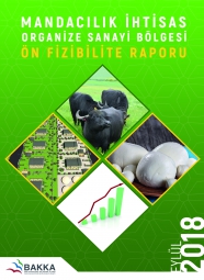 Mandacılık İhtisas OSB Ön Fizibilite Raporu