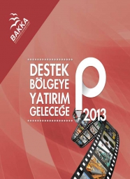 2013 Yılı Kobi Mali Destek Programı Başarılı Projeler Kitapçığı