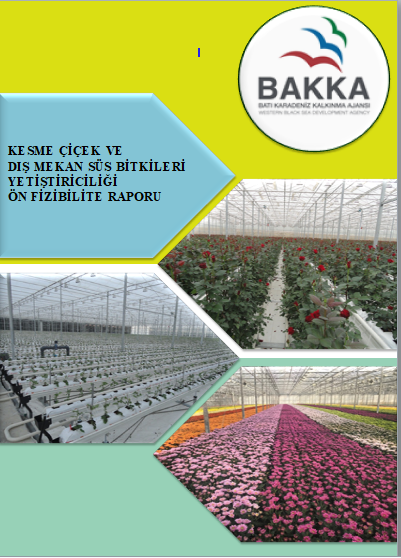 Süs Bitkileri Yetiştiriciliği Ön Fizibilite Raporu