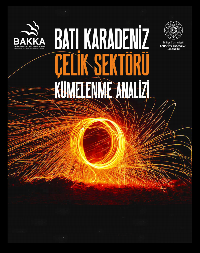 Batı Karadeniz Çelik Sektörü Kümelenme Analizi