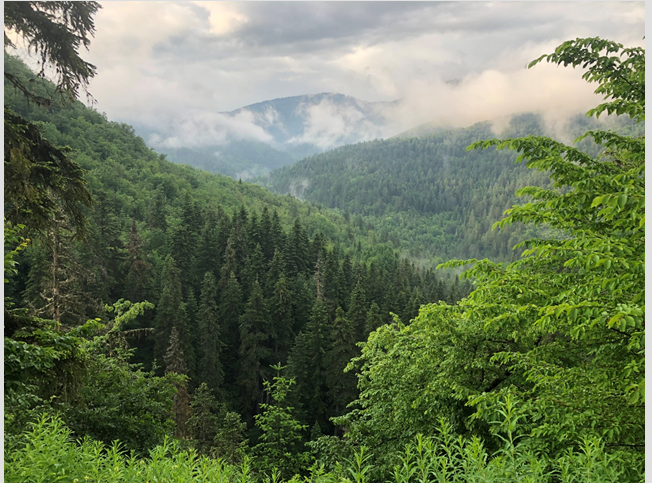 KELTEPE DAĞ PLÂNLAMA RAPORU