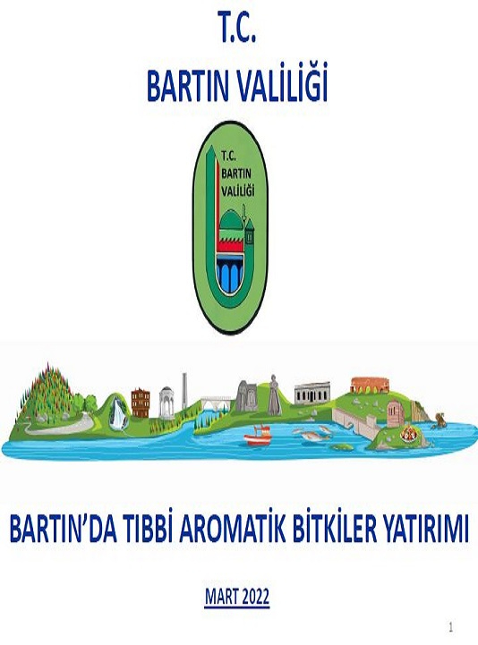 Bartın da Tıbbi Aromatik Bitkiler Yatırımı
