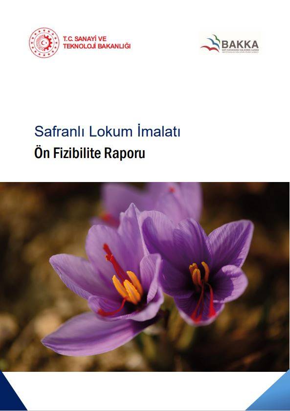 Safranlı Lokum İmalatı Ön Fizibilite Raporu