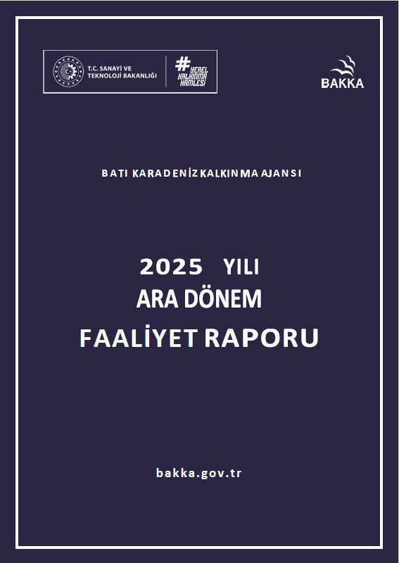 2025 Yılı Ara Dönem Faaliyet Raporu